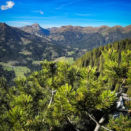 Διαμέρισμα Casa Bagatin Santo Stefano Di Cadore