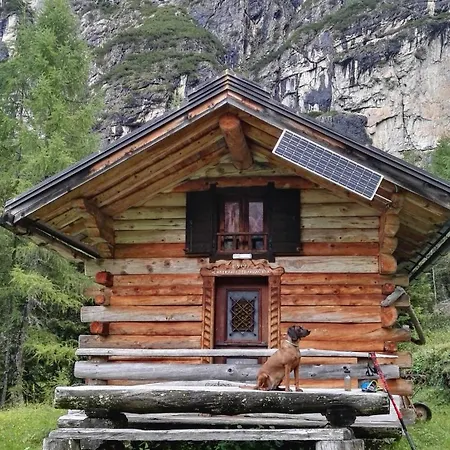 Casa Bagatin Apartment Santo Stefano Di Cadore