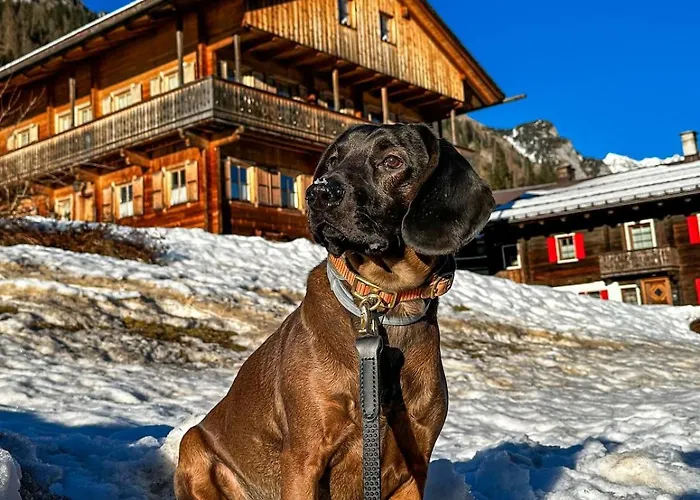 Casa Bagatin *