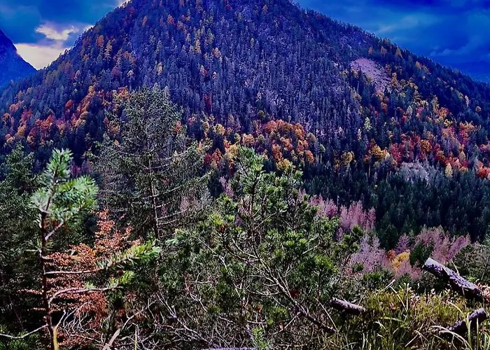 Διαμέρισμα Casa Bagatin